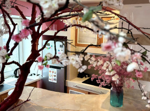 Квартира Сакура в Хибинах