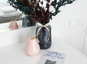 Гостевой дом SilverPeak