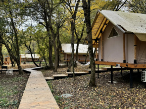 Glamping White Rabbit