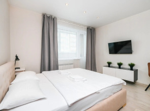 Апартаменты Домант Романова 60/1 (4)