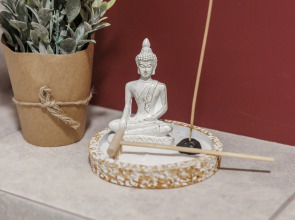 Квартира с проектором Токио в центре Ярославля