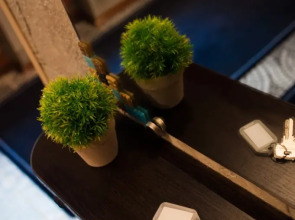 Отель Pestel Inn