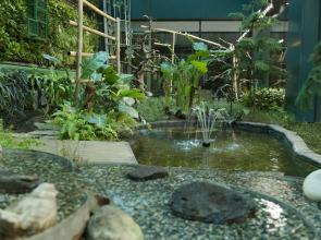 Elite World Grand Istanbul Basın Ekspres