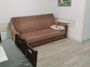 Трехкомнатная квартира в центре на Попцова