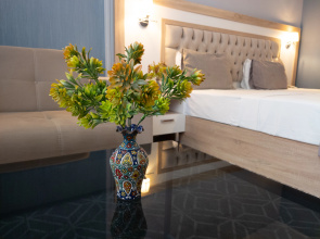 Отель Alba Hotel&Spa