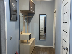 Dlya kompanii v tsentre goroda Apartments