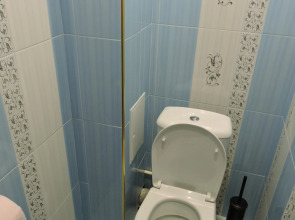 Апартаменты Babushka