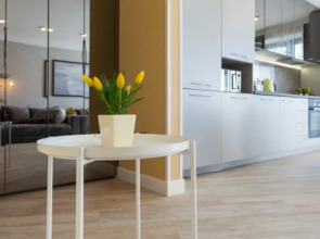 Апартаменты Светлогорск Динамо 1А