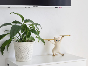 Апартаменты ONLY на Богатырском