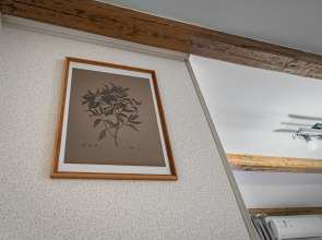 Апартаменты в Немецком Доме на Тихой Улочке