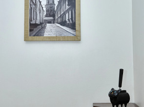 Апартаменты DD.APARTS.VBG : WOW-Студия у Библиотеки ААЛТО