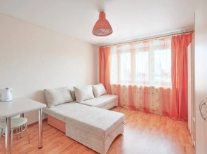 Studiya S Vidom Na Naberezhnuyu Flat