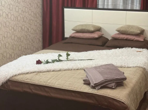 Uyutnie Samara Apartments