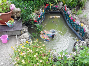 Гостевой дом Толстячок