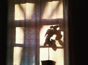 Апартаменты Большая Квартира в Центре Города