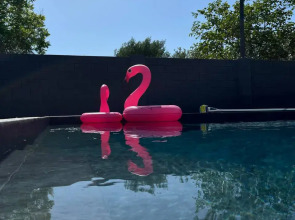 Гостевой дом Белые ночи