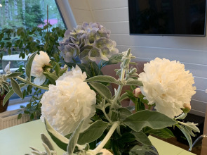 Частный дом A-фрейм в лесу Зеленого города