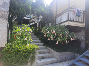 Гостевой дом Мандариновый Рай