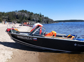 Частный дом в Терву