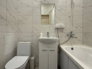 Квартира Добролюбова 16/1