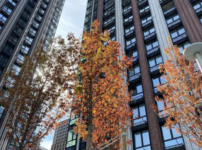 Апартаменты ЖК Метрополия