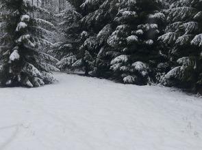 Гостевой дом Терем Морозко