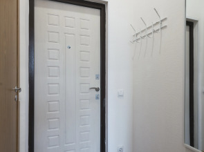 Квартира в Посёлке Песочный Напротив НМИЦ Онкологии