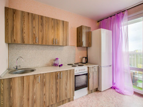 Квартира на улице 45-й Стрелковой Дивизии 259/1