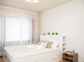 "DaRent Karelia" na Oktyabrskoi 8 Apartments