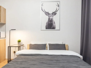 Видовые апартаменты RoomyRoom City lights