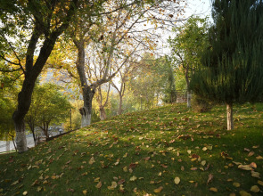 Wellmore Resort Hotel Charvak