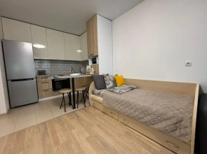 Квартира просторная однокомнатная на 5 спальных мест