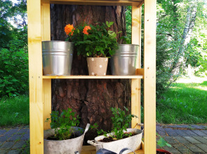 Отель Гринвей