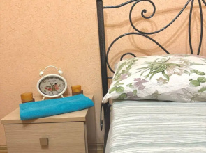 Dvukhkomnatnye Volodarskogo 17, 6 Etazh Apartments