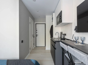 Квартира Дизайнерская студия в центре города