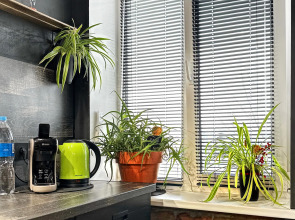 Квартира Двухкомнатная в Стиле Loft с Видом на Бухту Золотой Рог