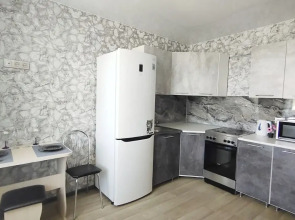 Квартира у аэропорта