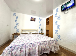 Uyutnaya Studiya v Chastnom Sektore Apartments