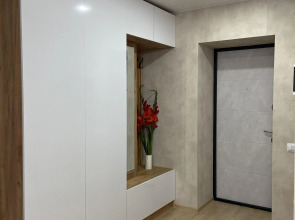 Квартира студия в центре города 50 оттенков серого