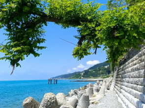 Гостевой дом Villa Soho Sochi Russia