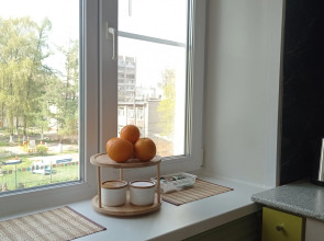 Квартира в центре Тулы напротив стадиона Арсенал и Likerka Loft для 1-4 человек