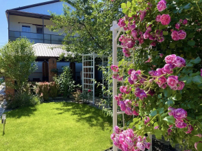 Гостевой Дом Совёнок