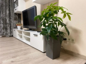 Квартира в самом сердце столицы