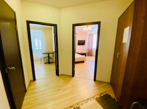 Апартаменты Агапкина 19