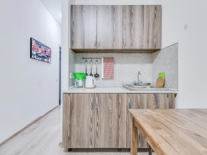 Апартаменты 101Апарт в центре у метро Московские ворота