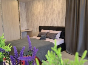 Odnokomnatnaya vozle Stadiona i Basseyna Angara Flat