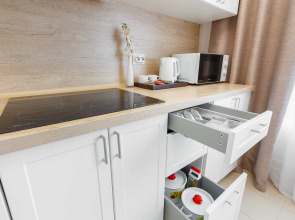 Апартаменты Inndays Apartments on Monahova