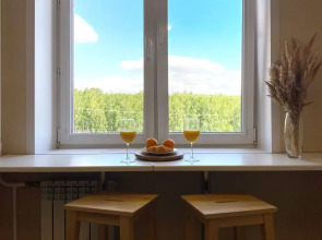 Апартаменты WELCOME на Николаева 18