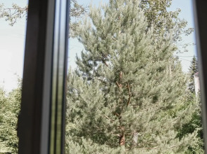 Квартира Апартаменты