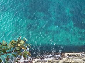 Апартаменты в Ботаническом Саду 7 Минут до Пляжа